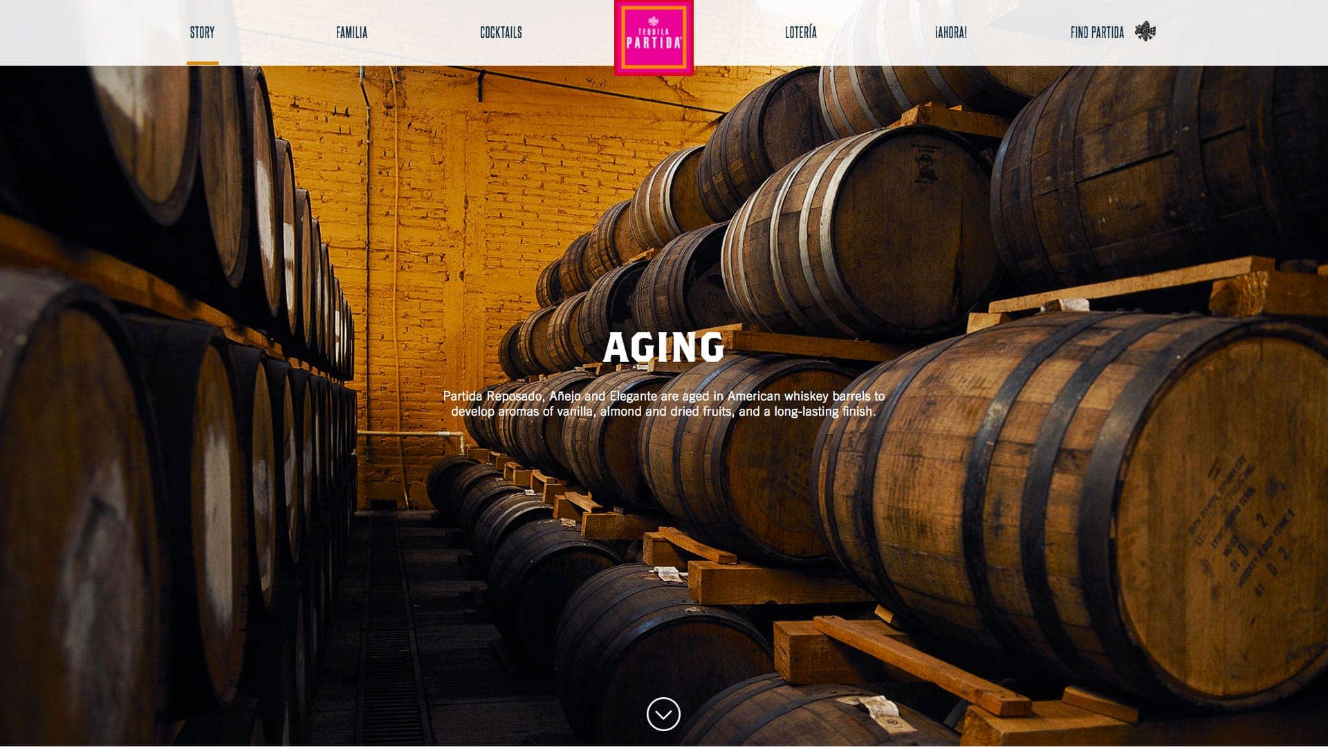 digital-marketing-website-design-partida-04