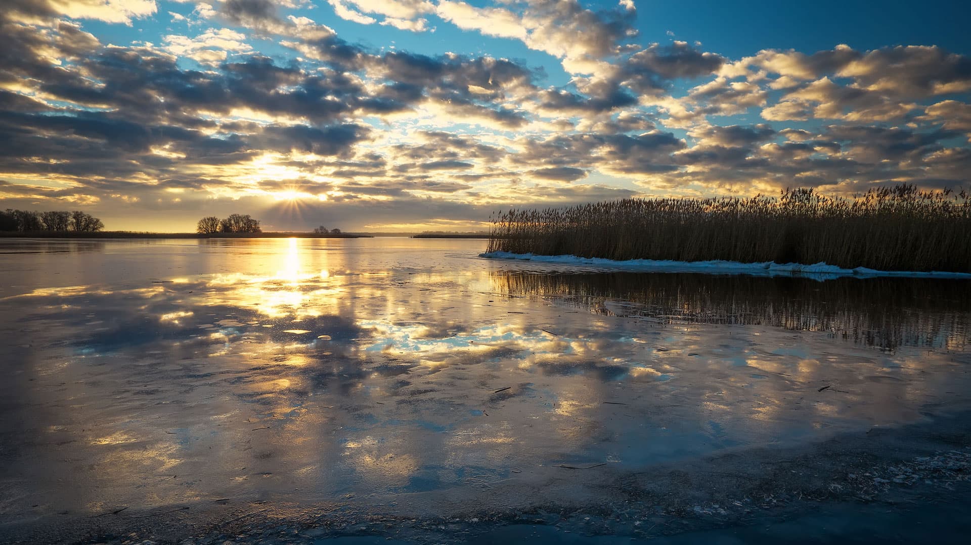 Cinematographer Services NYC