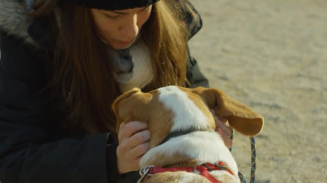 playdate-video-production-thumb