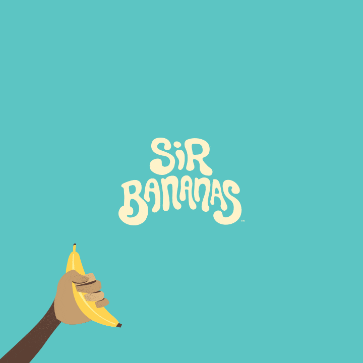 sir-bananas-web-development-2