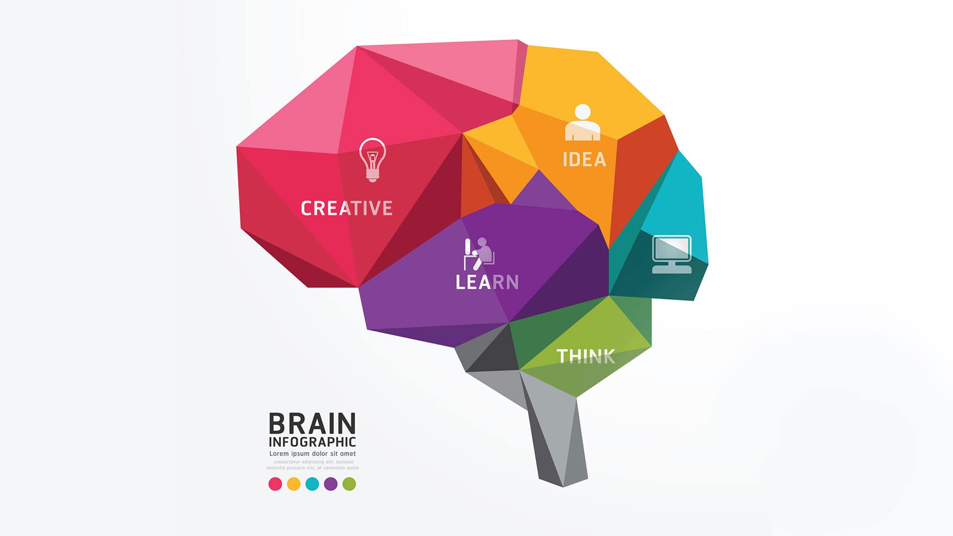 web-design-infographics