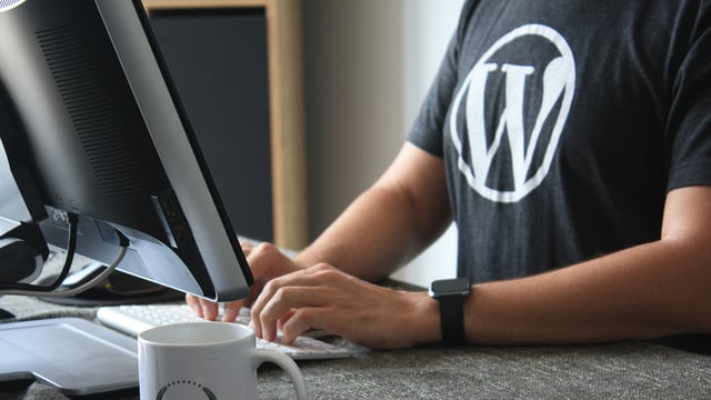 Wordpress Development Agency
