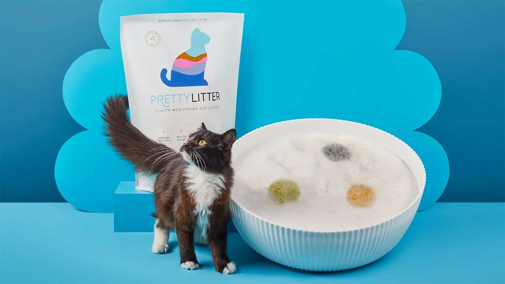 Pretty Litter Content Development Agency