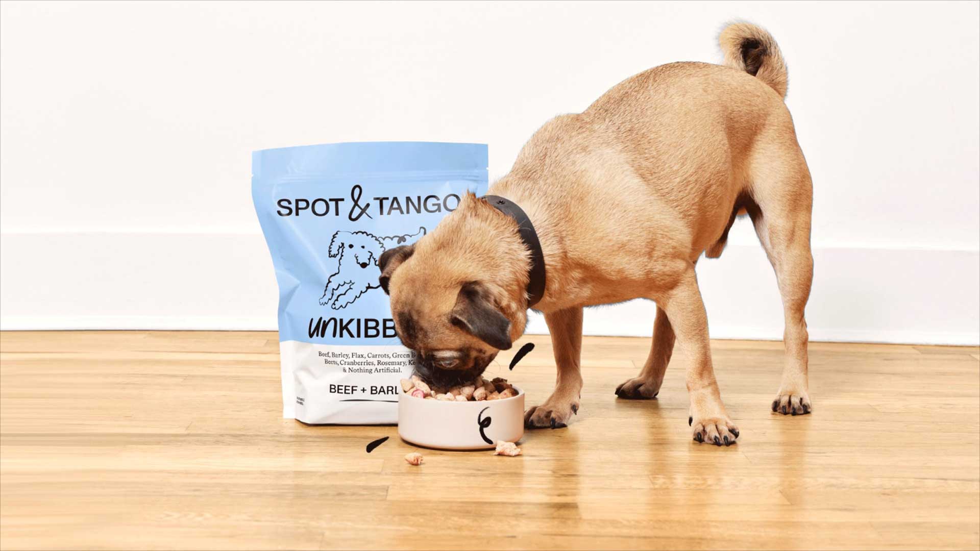 Spot And Tango Pet Digital Agency Partner