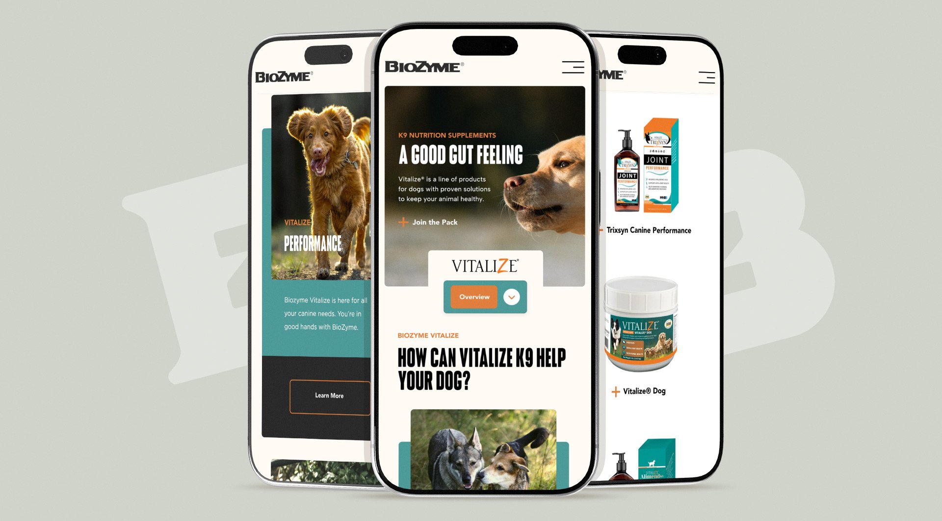 Biozyme Mobile 04