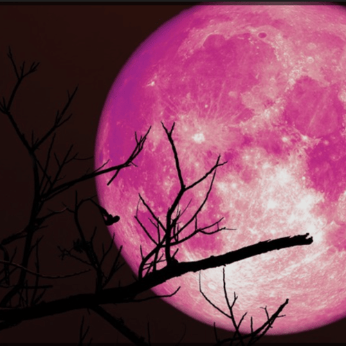 Strawberry Full Moon Downtown Lower East Hill Tour 