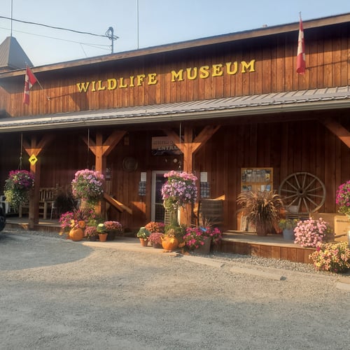 Self-Guided Museum Tours