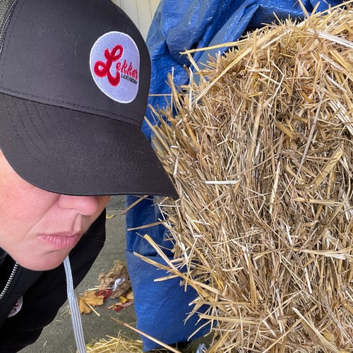 Organic Straw Bale Delivery