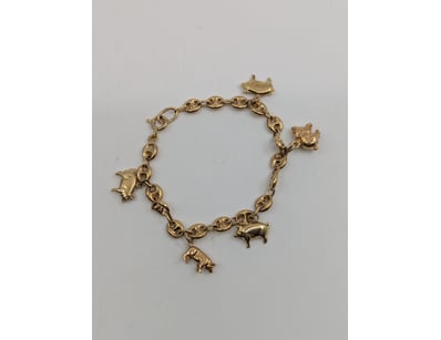 9CT YELLOW GOLD CHARM BRACELET

One Only 9Ct Yel...