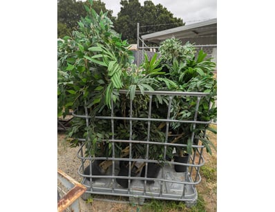 Home Improvement, DIY & Hardware (A998) - Lot 2539