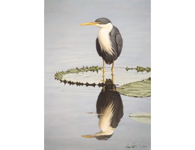 Art Market (A986) - Lot 4110