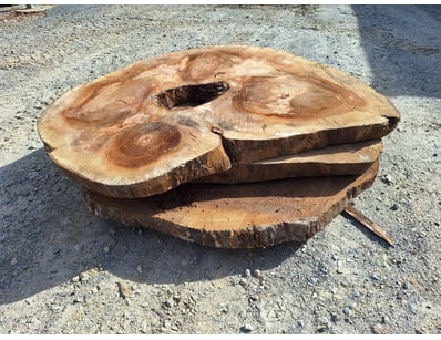 Hardwood Timber Slabs (ON4481) - Lot 17