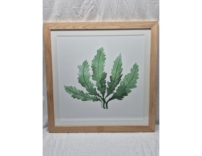 Art Market (A982) - Lot 5007