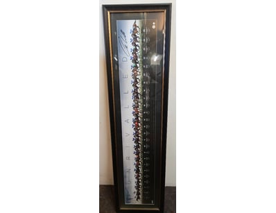 SIGNED "UNRIVALLED" WINX'S RECORD BREAKING 25 GROU...