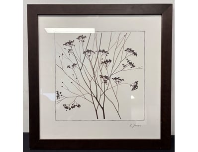 H. JOUARO BOTANICAL STUDY - DELICATE SEED POD ILLU...
