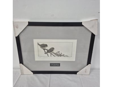 Curios & Collectables (A977) - Lot 830