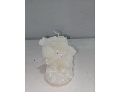 Sport, Leisure & Lifestyle (NSWA982) - Lot 2912