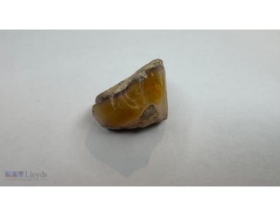RAW YELLOW OPAL 18.05CTS


665336+38

