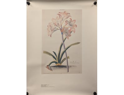 Antiques, Vintage & Interior Treasures (A999) - Lot 594