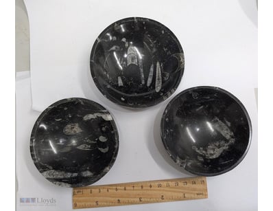 THREE SAUCER PLATE BOWLS MADE FROM 400 MILLION YEA...