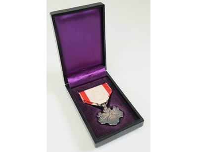 Historic Arms & Militaria (A982) - Lot 4001