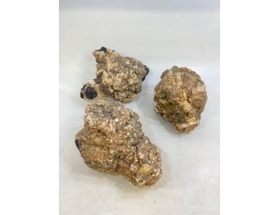 The Curio Collection (A985) - Lot 1185