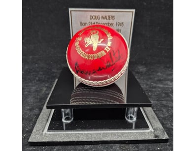 SINGLE VENDOR LIFETIME COLLECTION (A1001) - Lot 938