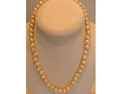 The Curio Collection (A979) - Lot 8265