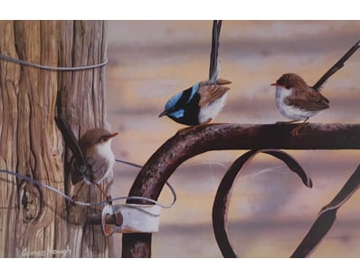 Art Market (A1004) - Lot 385