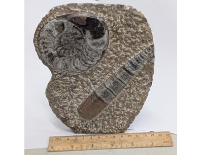 Antiques, Vintage & Interior Treasures (A998) - Lot 1506