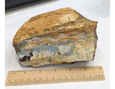 The Curio Collection (A999) - Lot 584