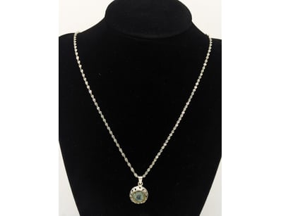 SILVER AND GLASS NECKLACE


583010+266


