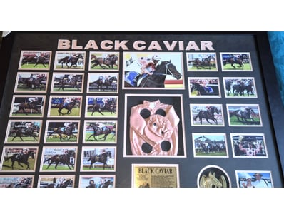 Prestigious Memorabilia (A981) - Lot 700