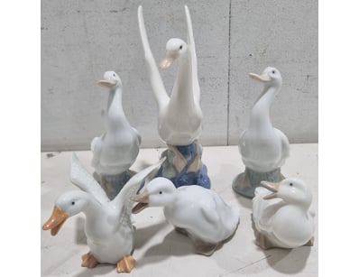 Sport, Leisure & Lifestyle (NSWA1004) - Lot 2798