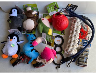 Sport, Leisure & Lifestyle (SAA1002) - Lot 4310