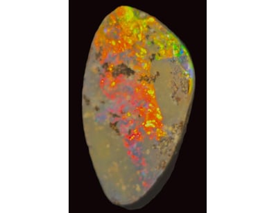 Opal Grandeur (A979) - Lot 1000