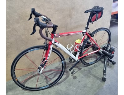 Sport, Leisure & Lifestyle (SAA986) - Lot 4481