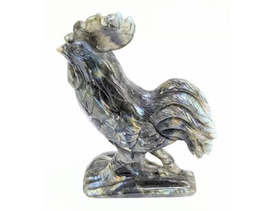 The Curio Collection (A1000) - Lot 350