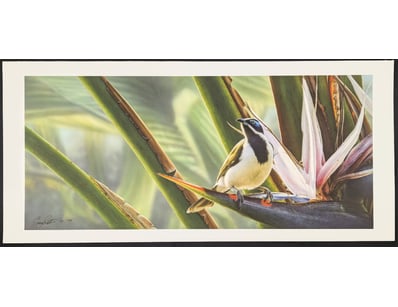 Art Market (A983) - Lot 5033