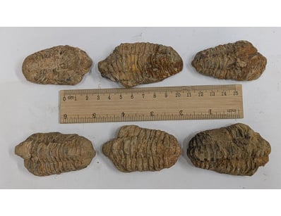 Antiques, Vintage & Interior Treasures (A1006) - Lot 9015