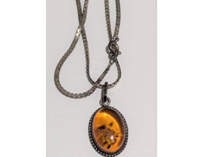 The Curio Collection (A979) - Lot 8299