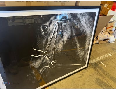Framed horse print 

Dimensions: 135cm x 105cm
...