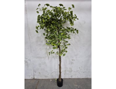 Quality Designer Furniture & Decor Clearance (A... - Lot 623