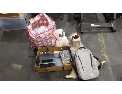 Assorted Items Including, Plush Toys, Electric Fit...