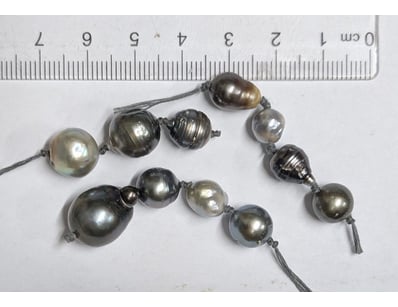 The Curio Collection (A999) - Lot 564