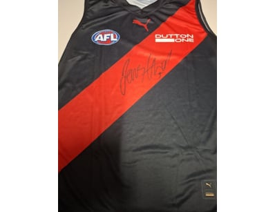 JAMES HIRD SIGNED ESSENDON GUERNSEY

James Hird Pe...