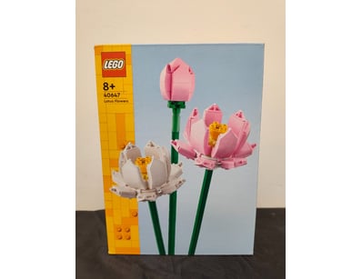 **UNRESERVED** COOKIE'S LIFETIME COLLECTION OF ... - Lot 544