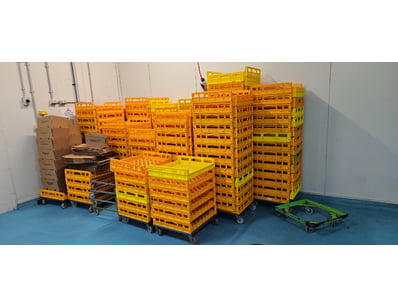 Top Of The Range Food Processing Equipment (ON... - Lot 2274