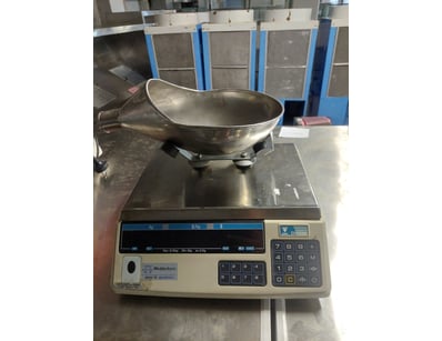 Wedderburn digital counting scale with stainless s...
