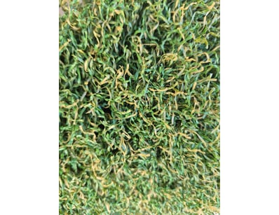 Artificial Turf Clearance (A1004) - Lot 35